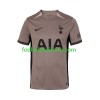 Tottenham Hotspur 3 trøje 2023-24 S/S